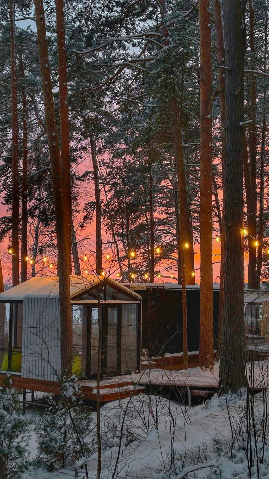Gaujaclub - Our Bose And Bang&Olufsen Lofts On A Lake Gauja  Zewnętrze zdjęcie