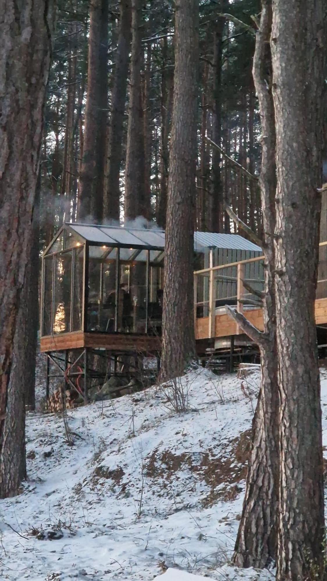 Gaujaclub - Our Bose And Bang&Olufsen Lofts On A Lake Gauja  Zewnętrze zdjęcie
