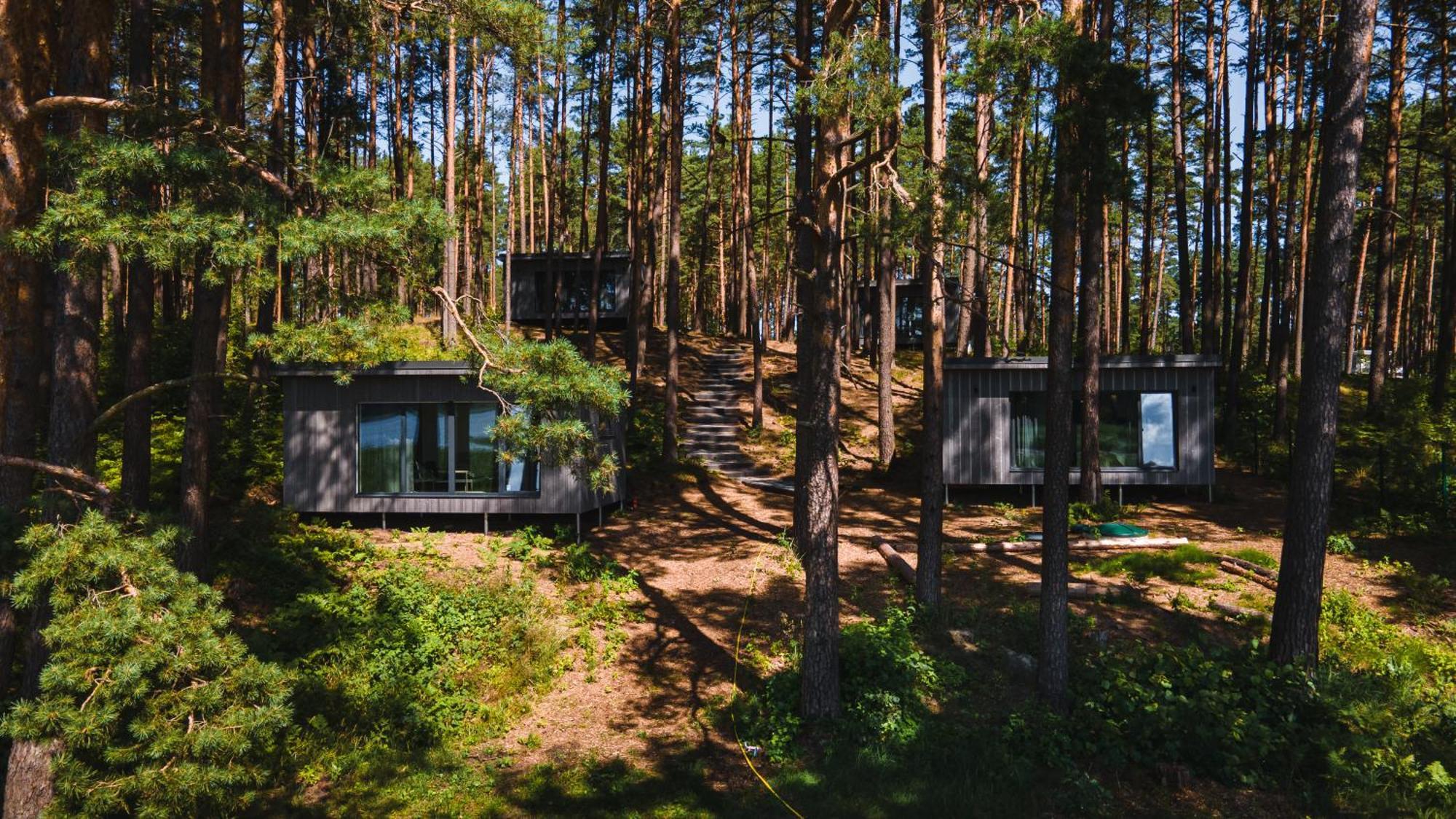 Gaujaclub - Our Bose And Bang&Olufsen Lofts On A Lake Gauja  Zewnętrze zdjęcie