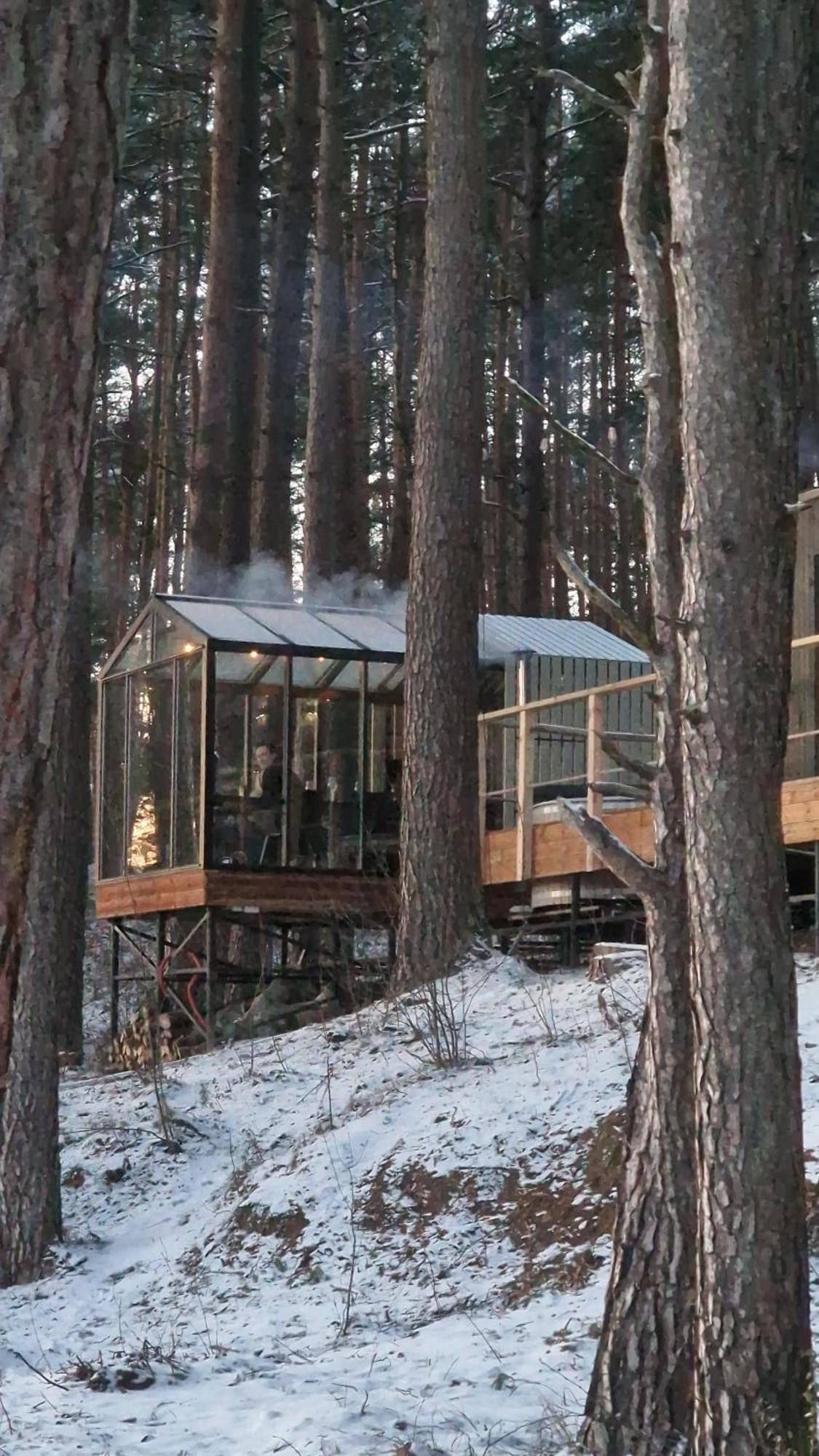 Gaujaclub - Our Bose And Bang&Olufsen Lofts On A Lake Gauja  Zewnętrze zdjęcie