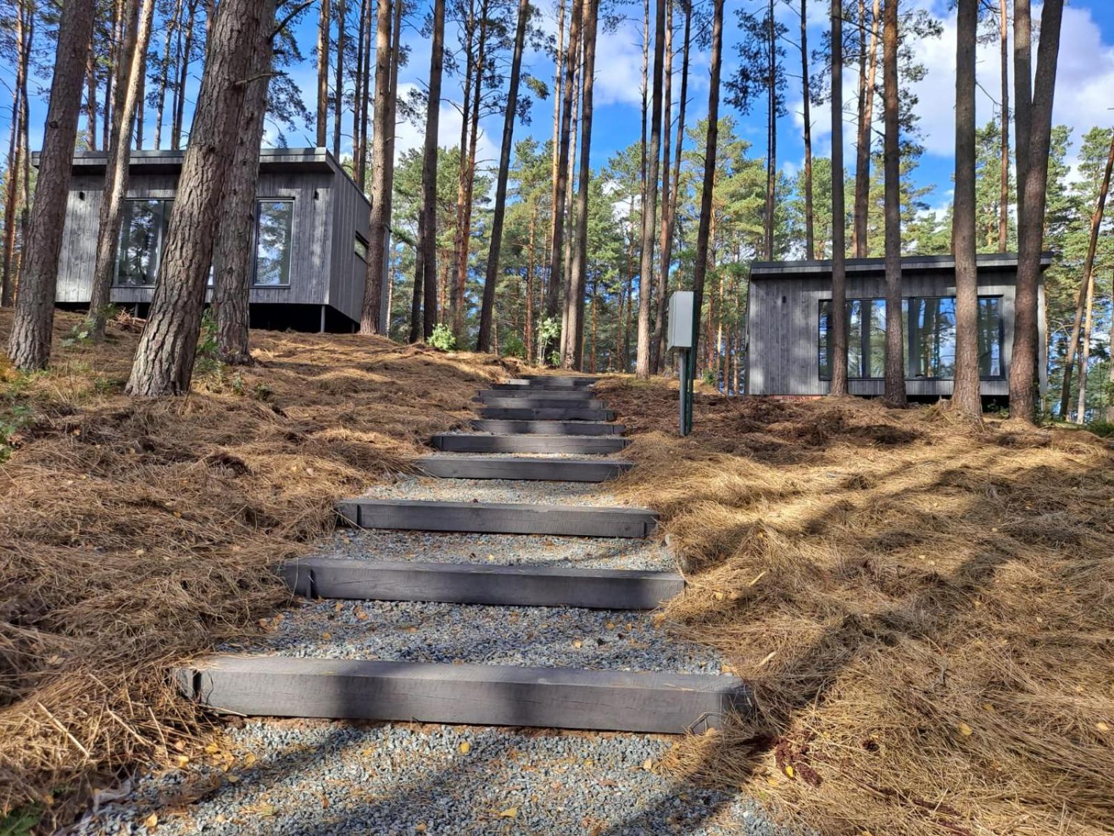Gaujaclub - Our Bose And Bang&Olufsen Lofts On A Lake Gauja  Pokój zdjęcie